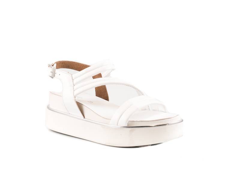 Jiudit Art. 70081 Prezzo Ridotto