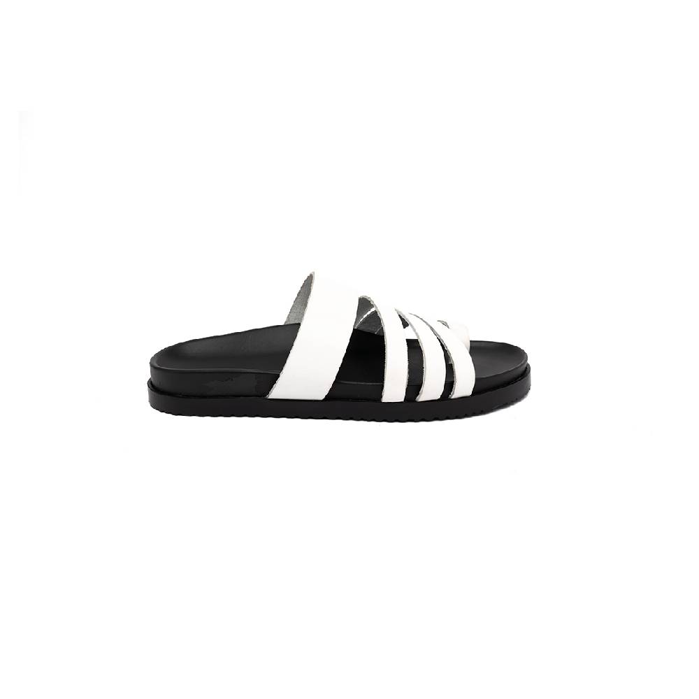 J.P. David Sirocco Vendite Flash