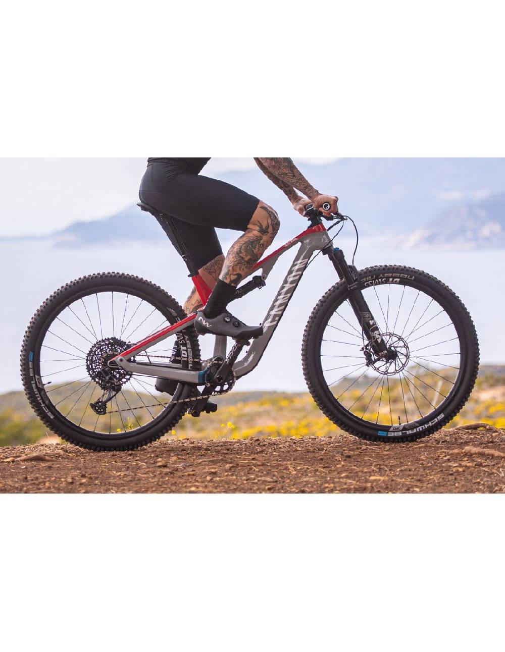 Northwave REBEL 3 In Linea
