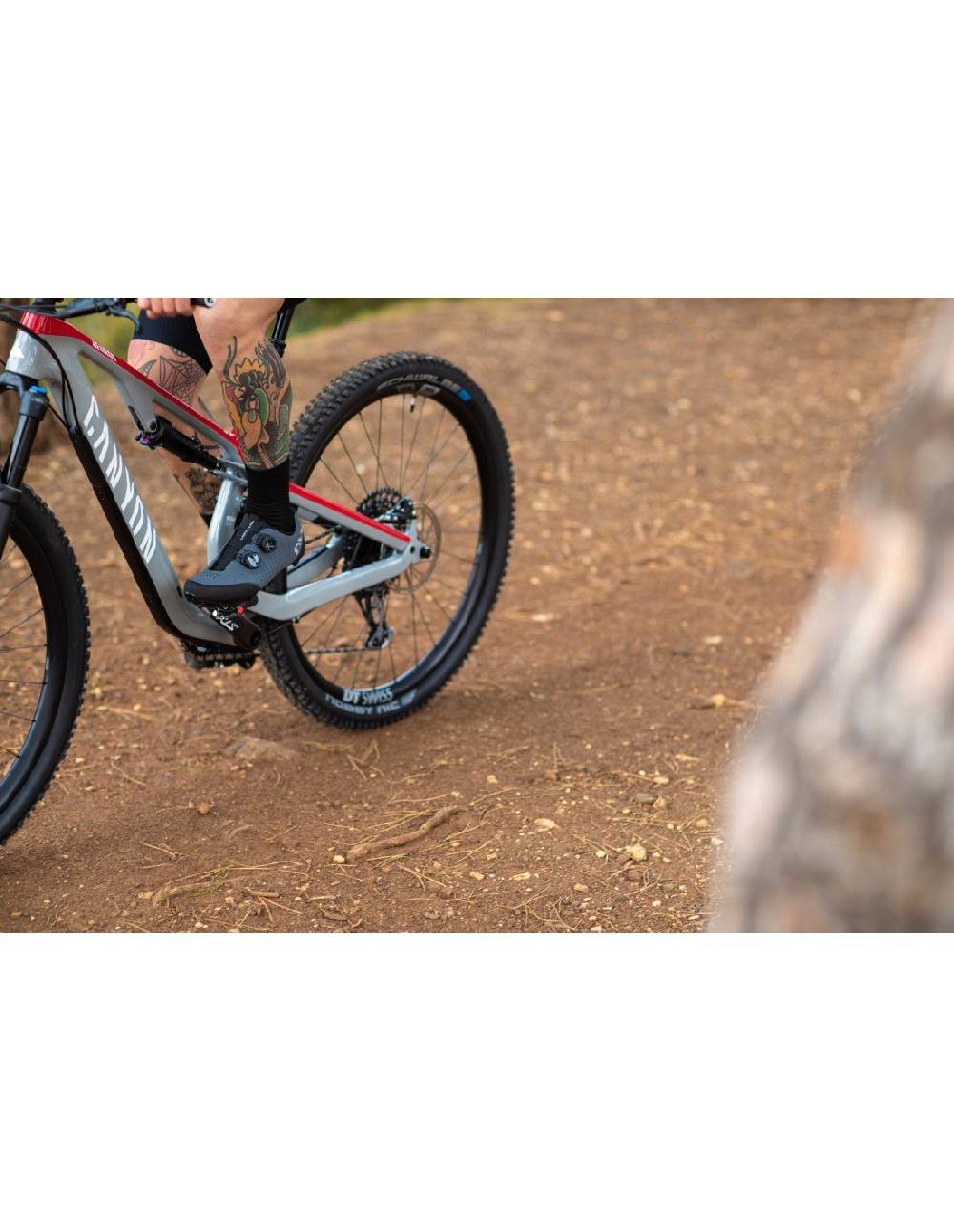 Northwave REBEL 3 In Linea