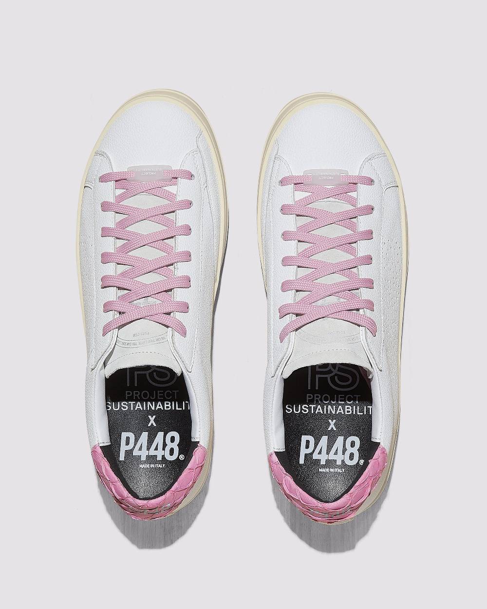P448 John Carp/Pink Sottocosto
