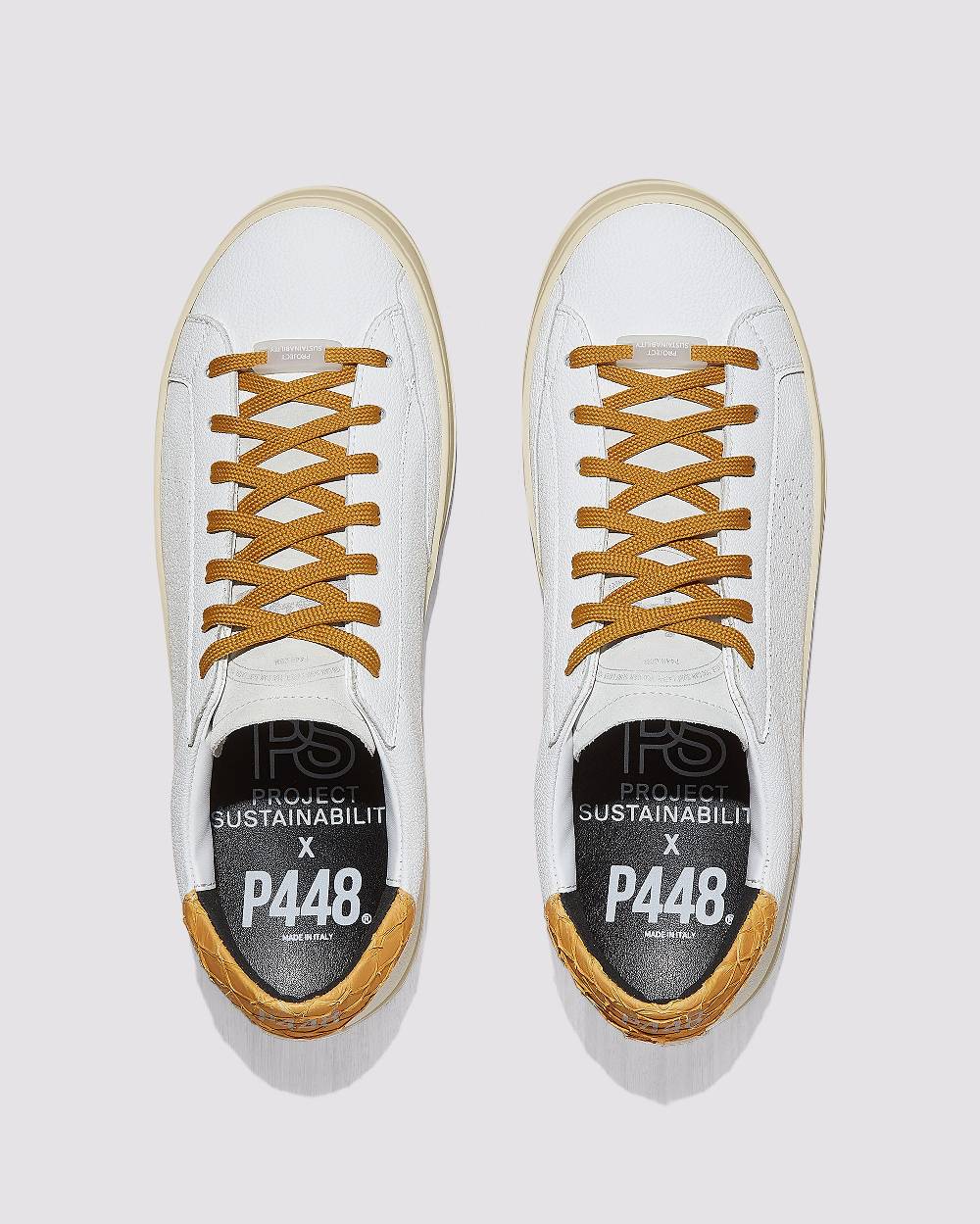 P448 John Carp/Mustard Presa