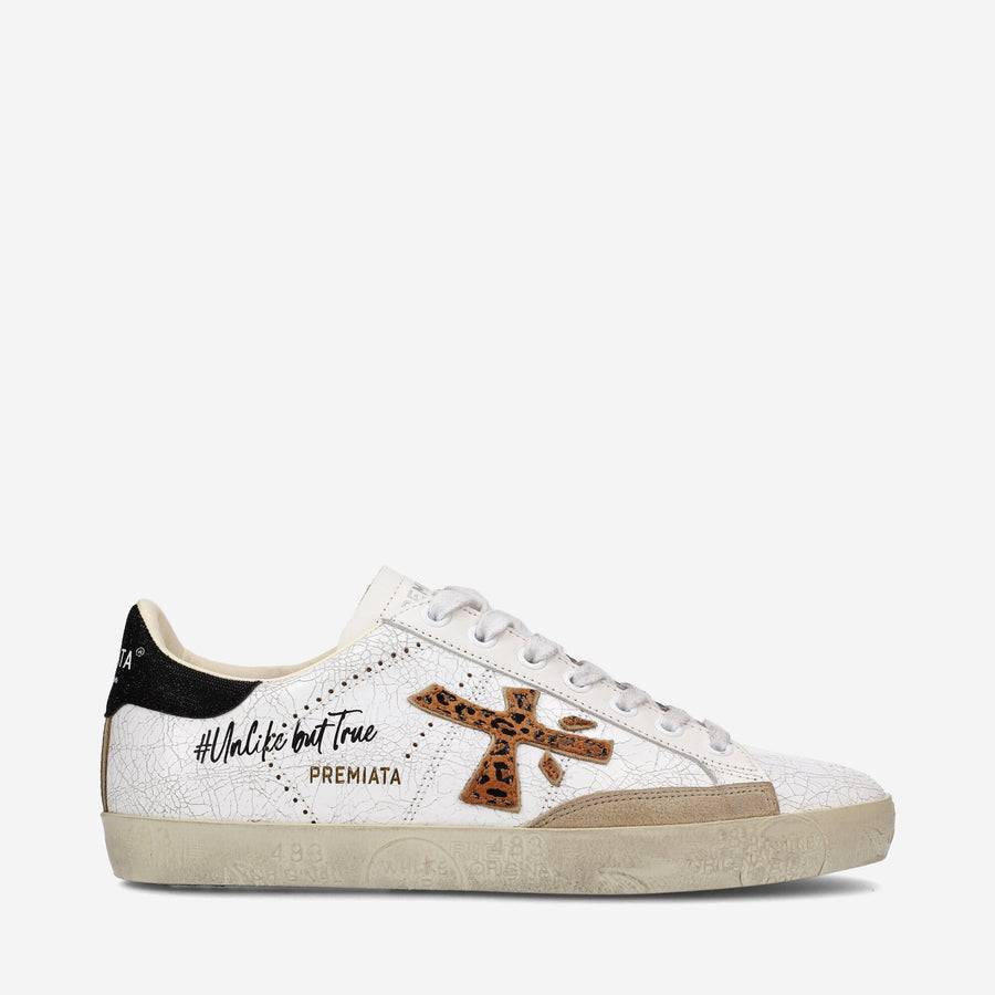Premiata STEVEND 6660 Vendita