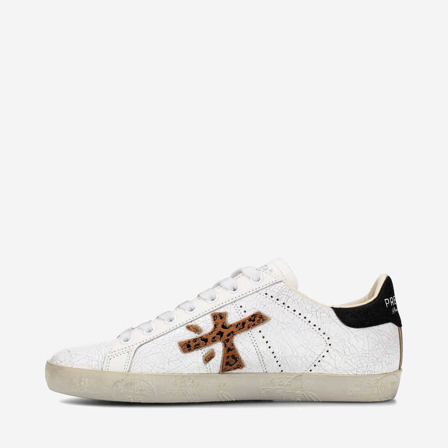 Premiata STEVEND 6660 Vendita