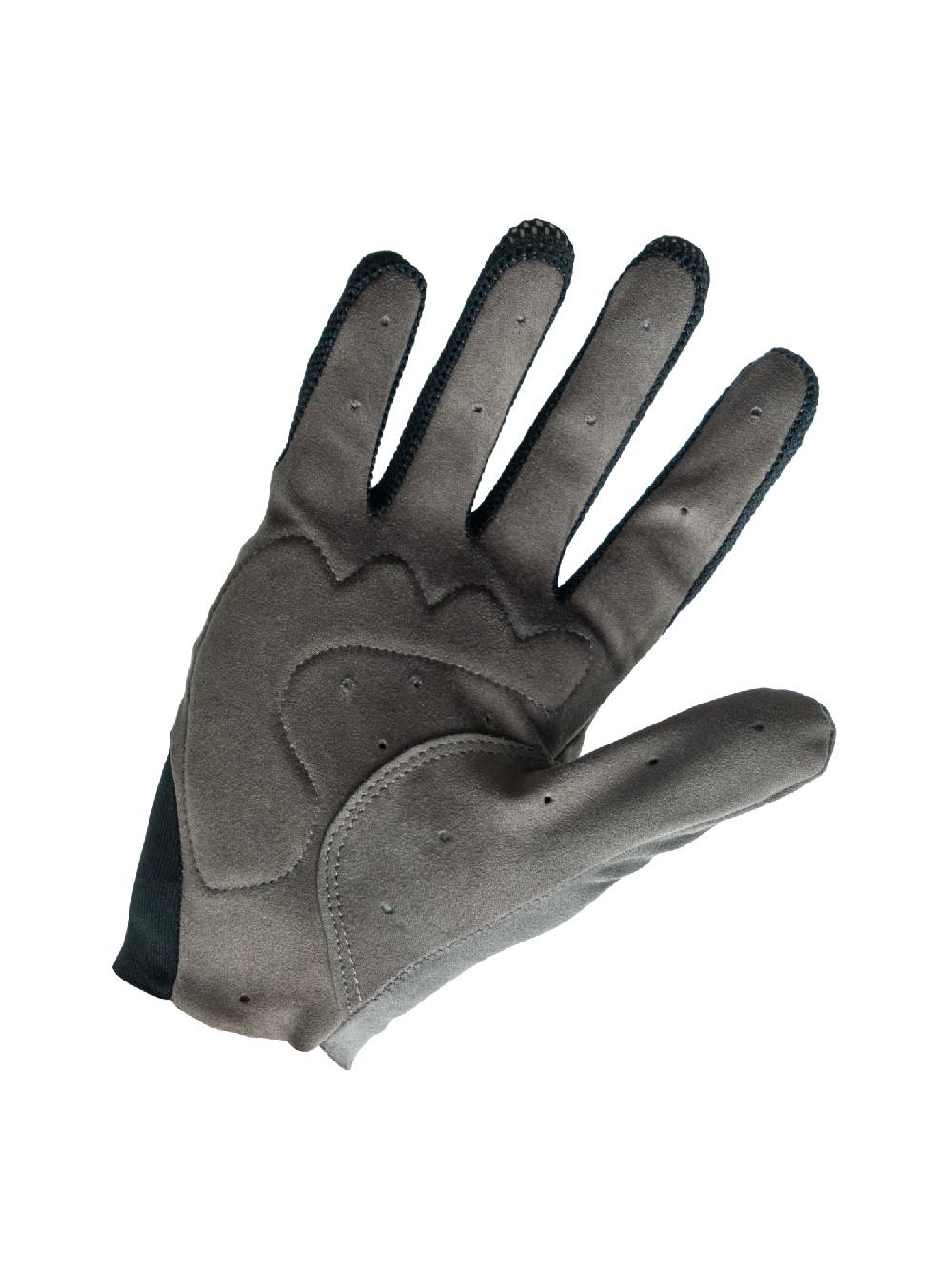 Q36.5 Adventure Guanti Lunghi Grigio Vendita Calda