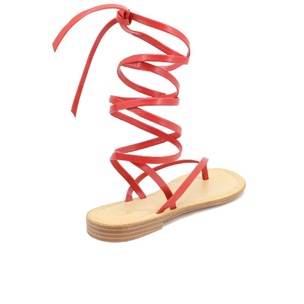 Queen Helena Sandali gladiator - Domitilla Promozione Limitata