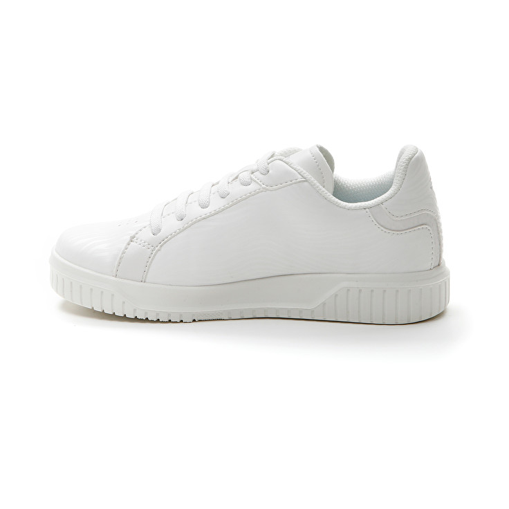 Lotto VENUS AMF II ZEBRA JR Online