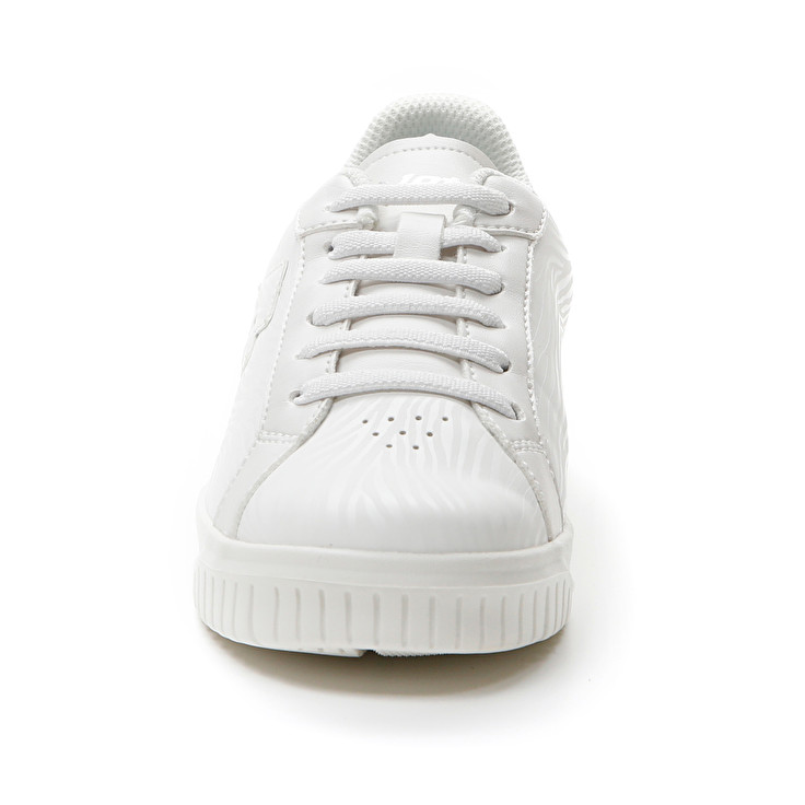 Lotto VENUS AMF II ZEBRA JR Online