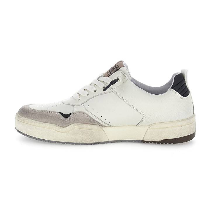 Lotto HOOP STARS RUB 2 Outlet