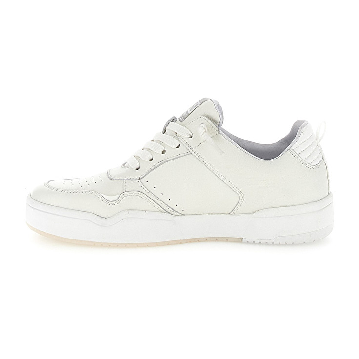 Lotto HOOP STARS Saldi