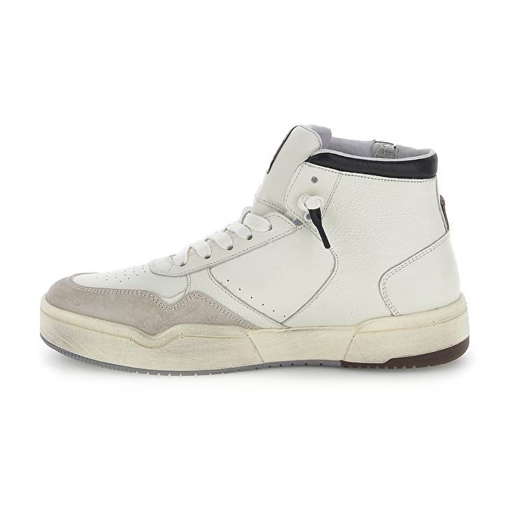 Lotto HOOP STARS HIGH SUEDE Vendita Calda