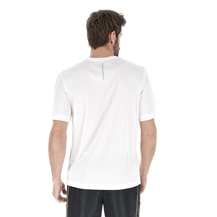 Lotto MSP TEE II Economico