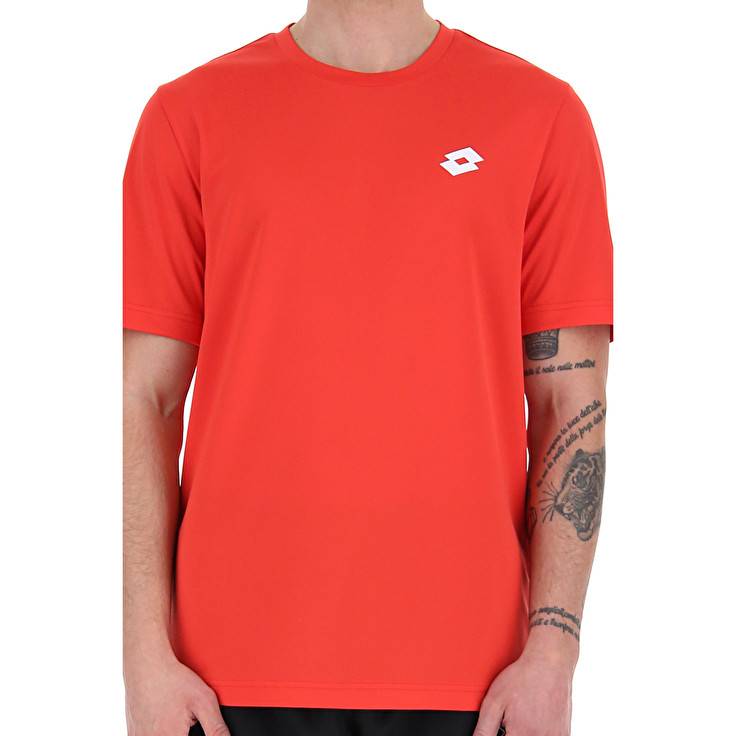 Lotto MSP TEE Online